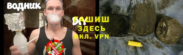 крисы Абаза