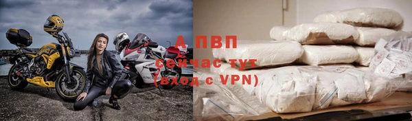 крисы Абаза