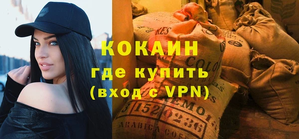 крисы Абаза